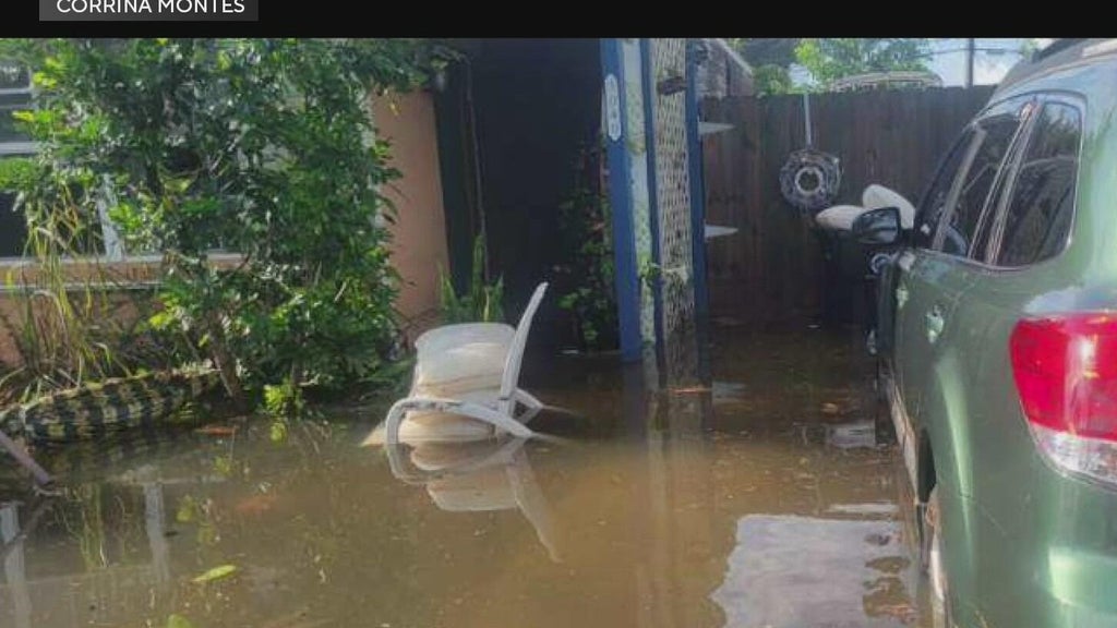 Residents say fear of inspections, paperwork keep many from applying for flood recovery grants — CBS Miami, Boca Raton Community news