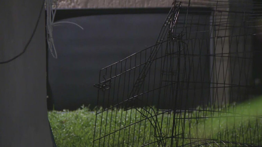 911 call captures frantic report of dog chasing, biting children in Miami — CBS Miami, Boca Raton Health news
