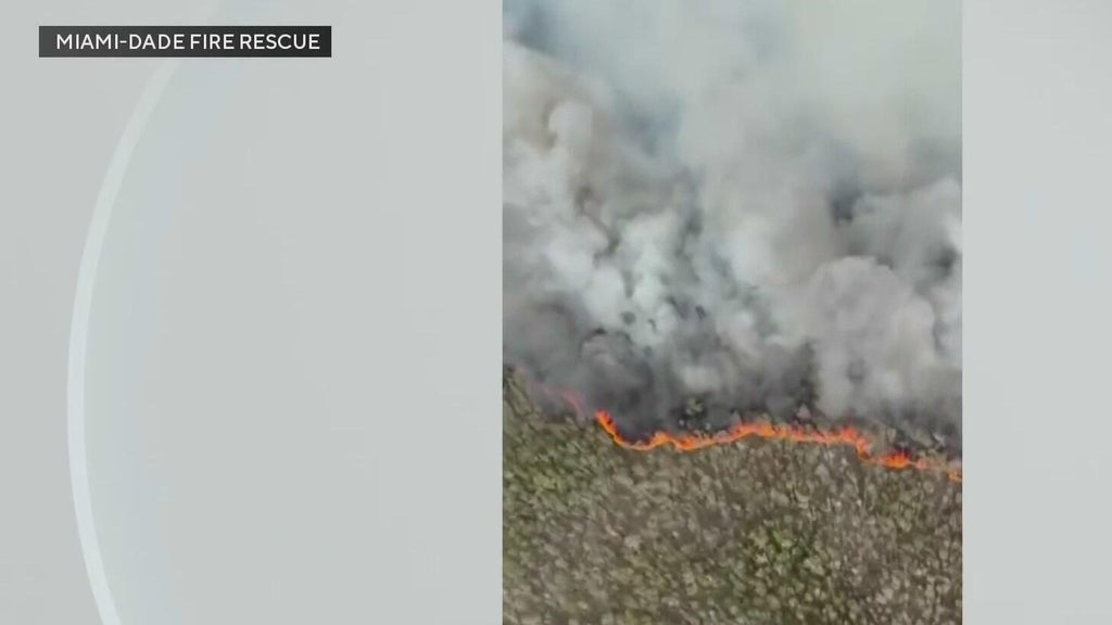 West Miami-Dade wildfires burn nearly 4000 acres — CBS Miami, Boca Raton Community news