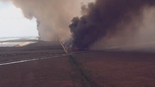 Wildfires burning near Everglades force officials to close part of Krome Avenue in west Miami-Dade — CBS Miami, Boca Raton Health news