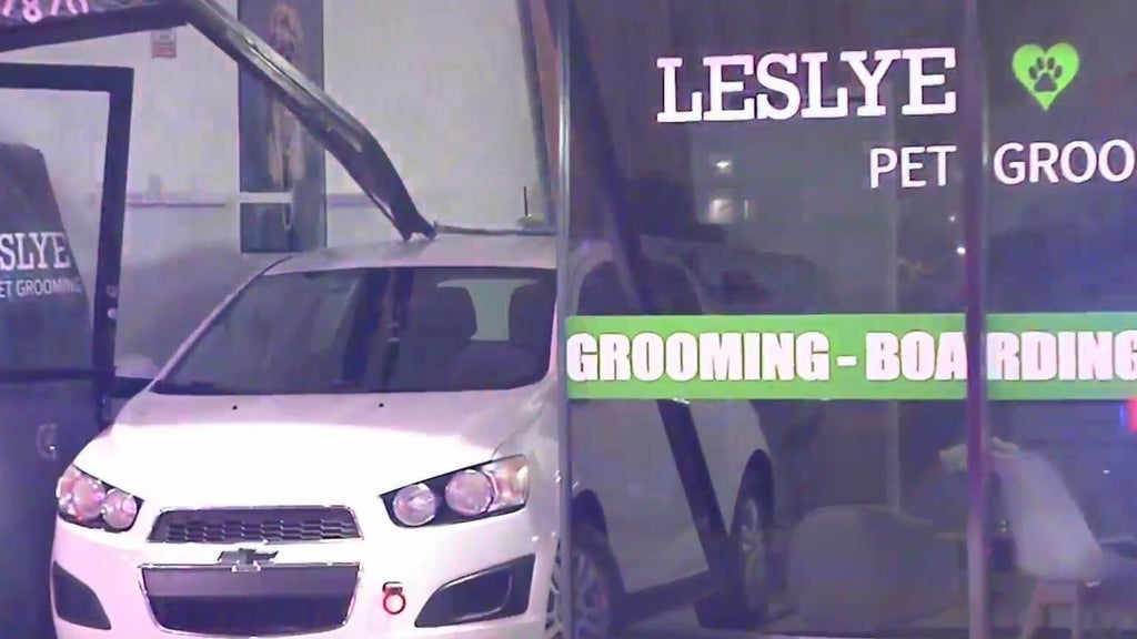 Car crashes into Doral pet grooming shop; no one hurt — CBS Miami, Boca Raton Business news