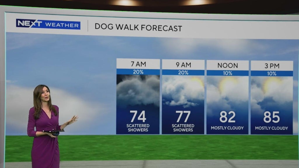 South Florida sees some showers Tuesday, but rain chances rise by end of week — CBS Miami, Boca Raton Community news