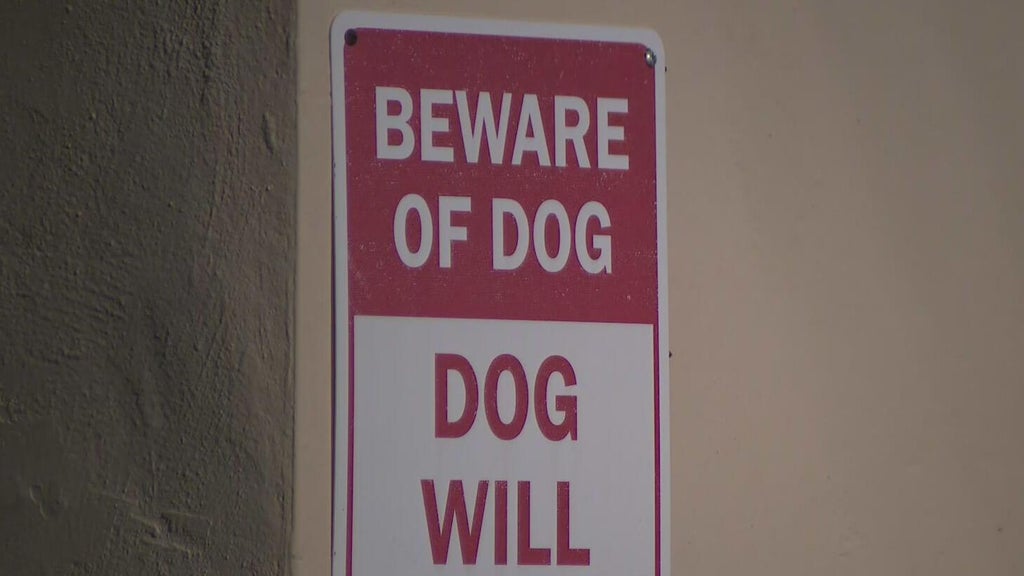 Dog on the loose after attacking a child in northwest Miami-Dade, deputies said — CBS Miami, Boca Raton Health news