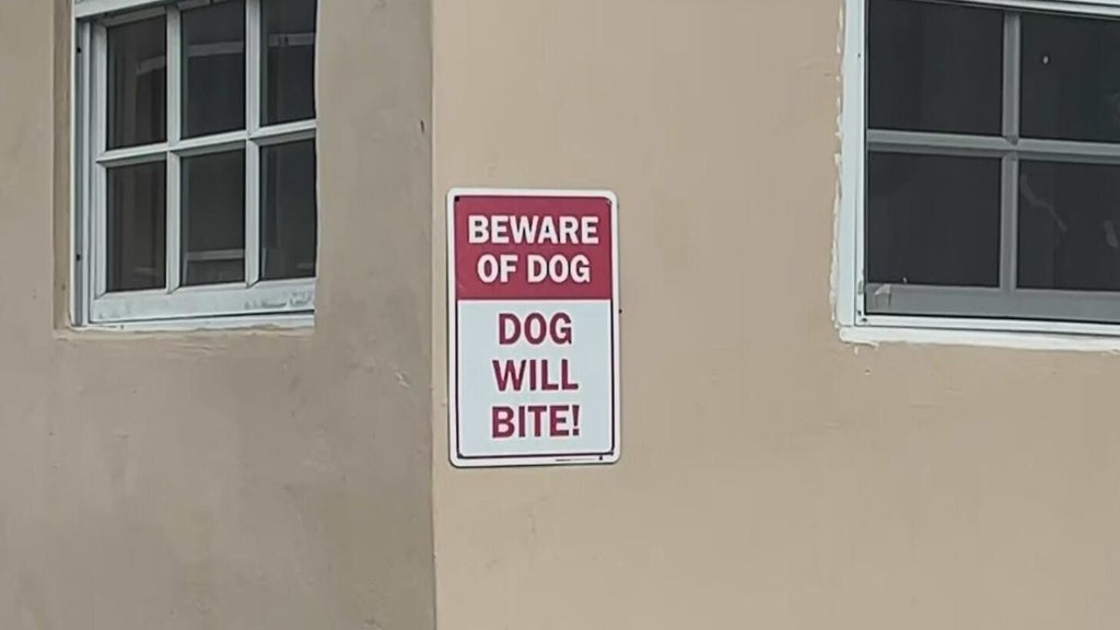 Dog who bit girl in northwest Miami-Dade taken into Animal Services custody — CBS Miami, Boca Raton Community news