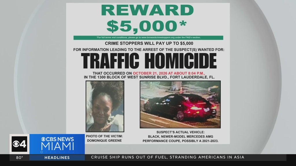 Family of Fort Lauderdale mom killed in hit-and-run pleads for help finding driver — Boca Raton Community news