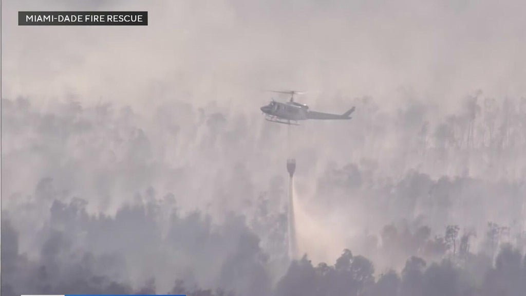 4 wildfires burning across Miami-Dade as crews fight the flames — CBS Miami, Boca Raton Community news