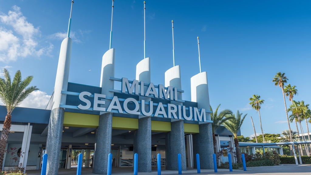 2 Miami-Dade residents sue to require countywide vote on Miami Seaquarium marina development plan — CBS Miami, Boca Raton Real Estate news