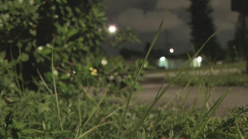 Broward mother says she went months without update after reporting man outside her window — CBS Miami, Boca Raton Real Estate news
