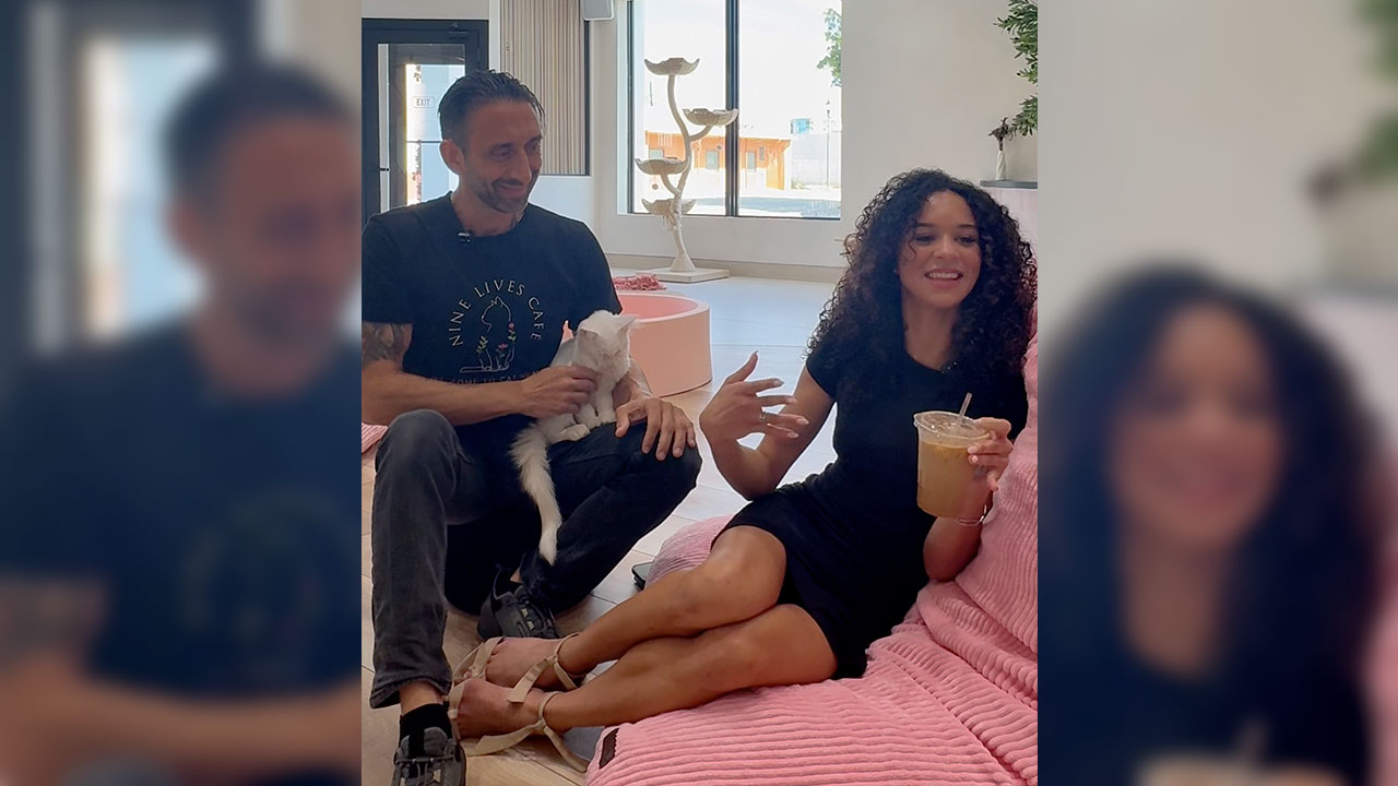 Welcome to 'Cat Heaven': Nine Lives Cafe pairs shelter cats with specialty coffee and Pilates — WPTV NBC West Palm Beach