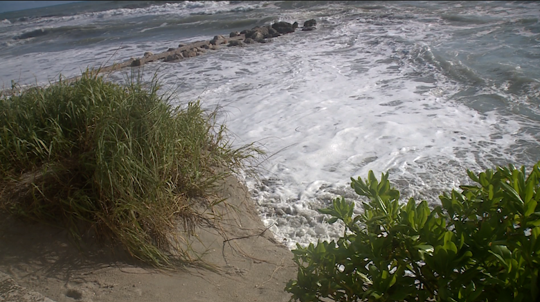 King tide pushes water to the seawall at Midtown Beach — WPBF West Palm Beach