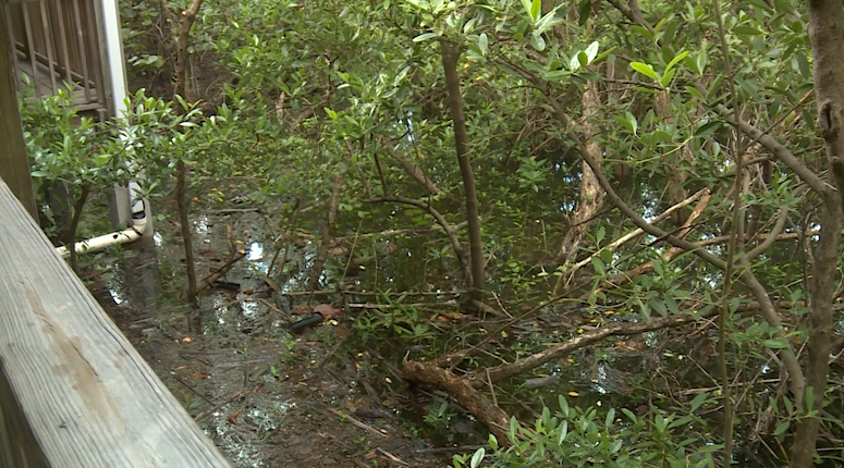King tides flood Jupiter Island as Amendment 3 raises funding concerns — Boca Raton Community news