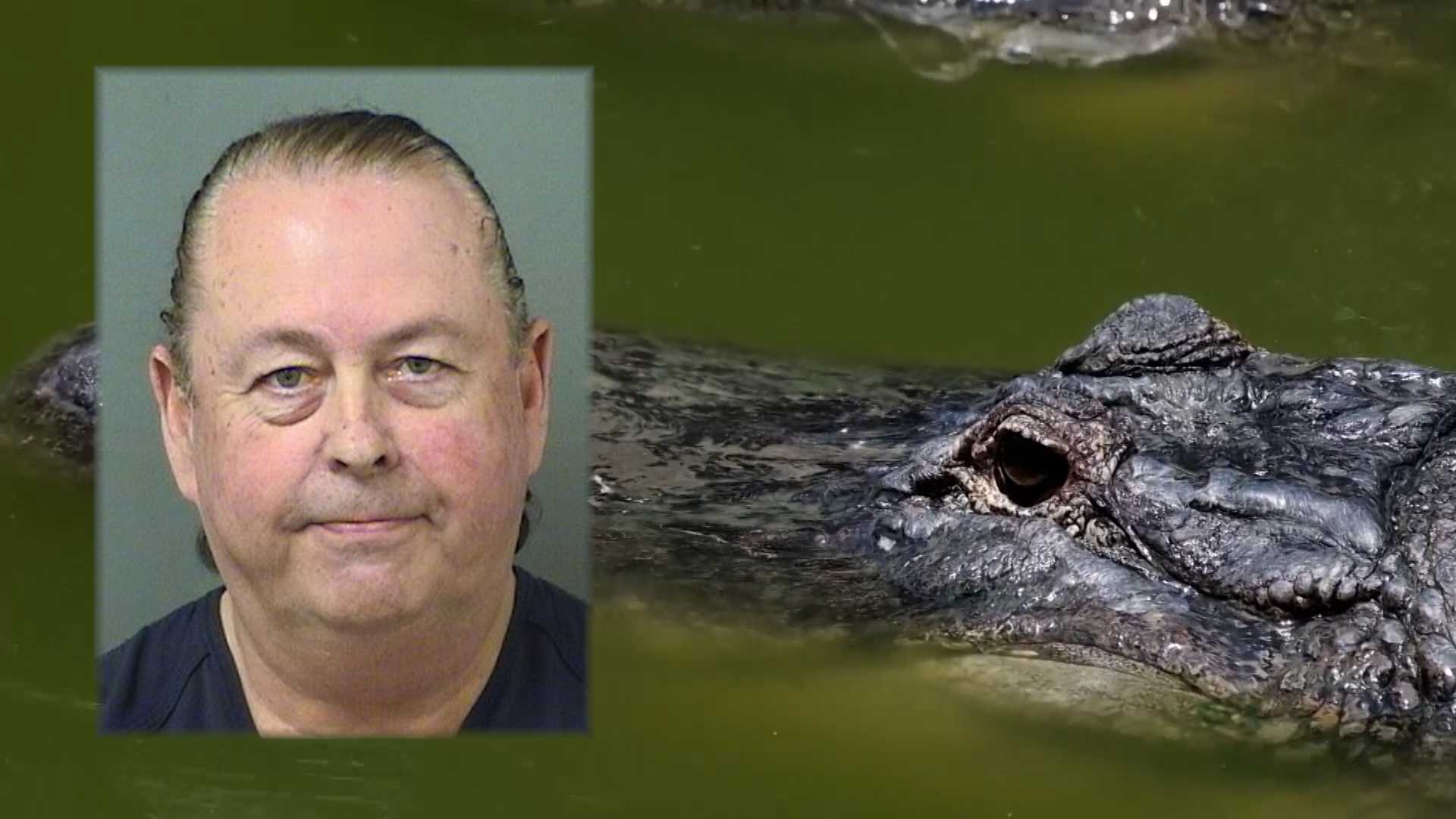 Florida businessman accused of killing alligator with hammer appears in court — WPBF West Palm Beach