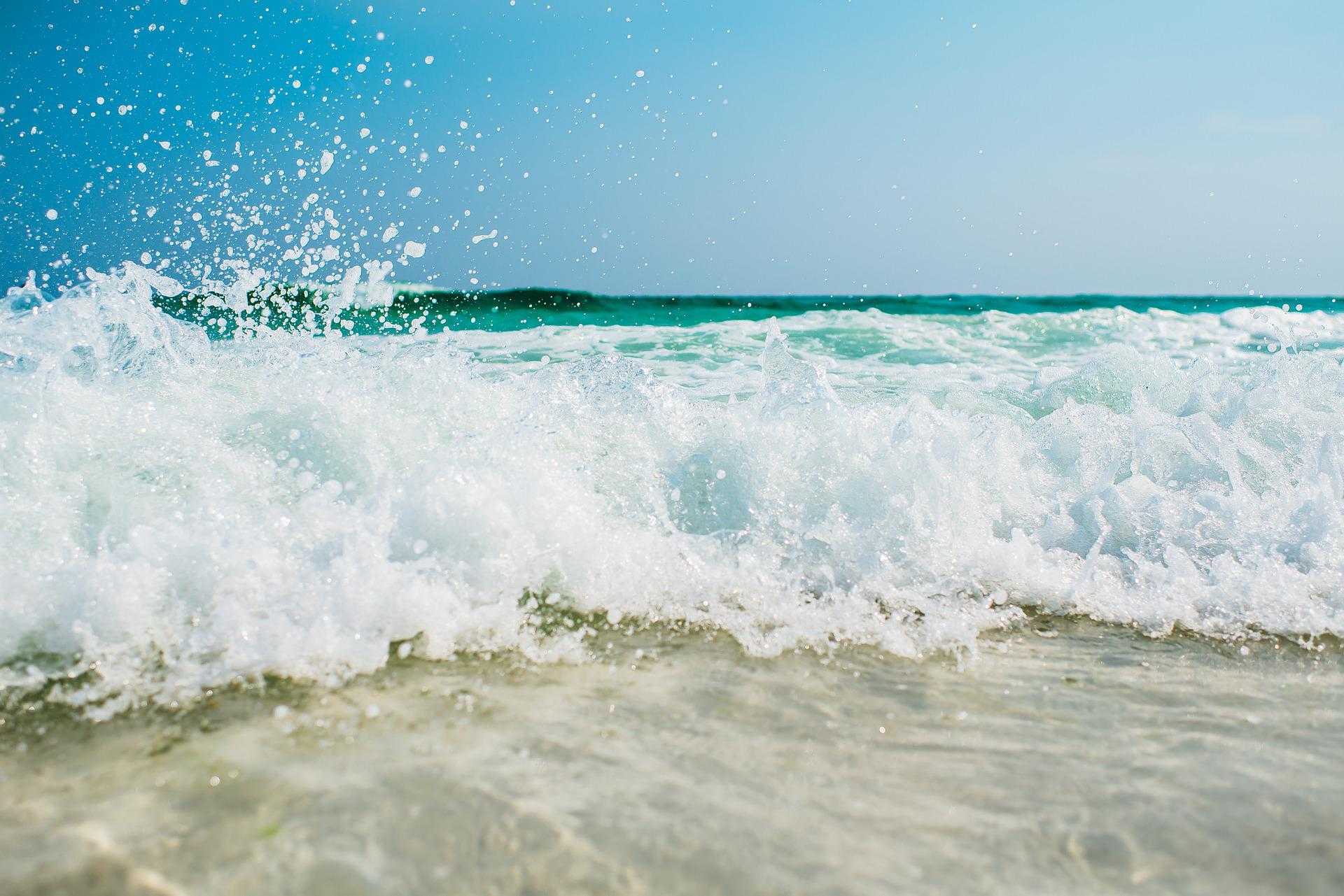 Fun things to do on the Treasure Coast and in Palm Beach this weekend — WPBF West Palm Beach