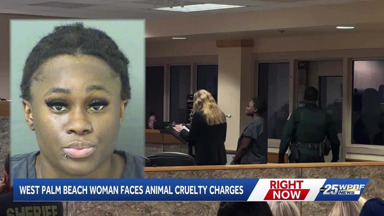 West Palm Beach woman faces aggravated animal cruelty after death of Yorkshire terrier — WPBF West Palm Beach, Boca Raton Community news