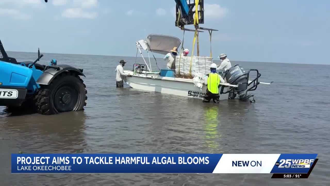 Experts tackle phosphorus pollution in Lake Okeechobee to improve water quality — WPBF West Palm Beach, Boca Raton Technology news