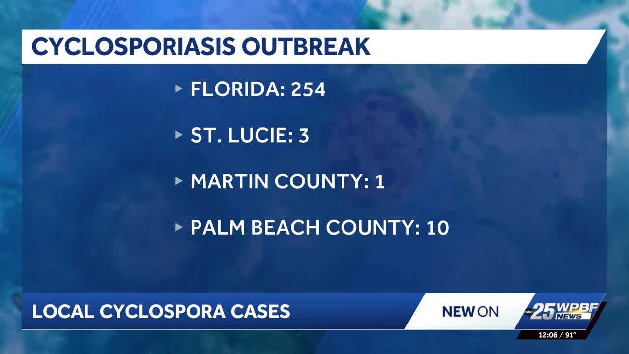 Cyclospora cases rise in Florida, with Palm Beach County leading locally — WPBF West Palm Beach, Boca Raton Community news