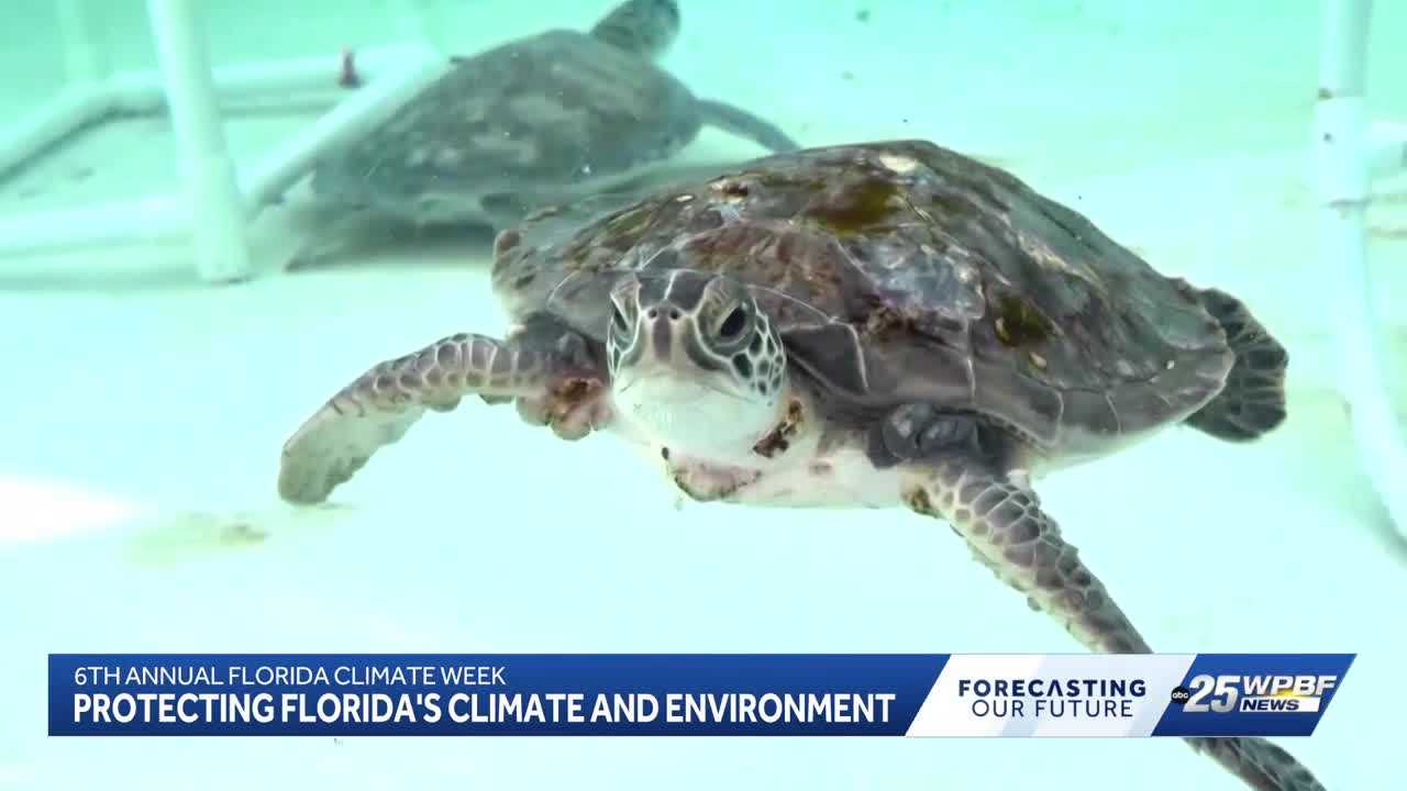 Florida Climate Week brings focus to environmental challenges and ocean research — WPBF West Palm Beach, Boca Raton Community news