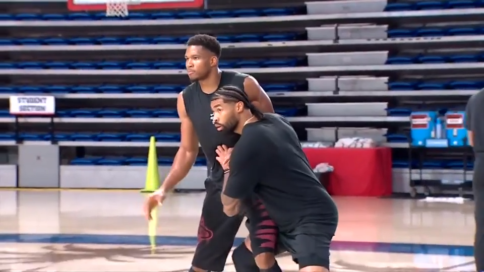 Giannis Antetokounmpo and the Miami Heat could be a perfect title-chasing pairing — WSVN Sports, Boca Raton Health news