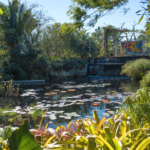 What to do, Where to go — Florida Weekly